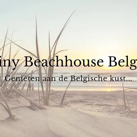Tiny Beachhouse Belgium, キャンプ場