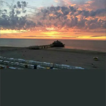 Tiny Beachhouse Belgium, キャンプ場 ウェンドゥイネ